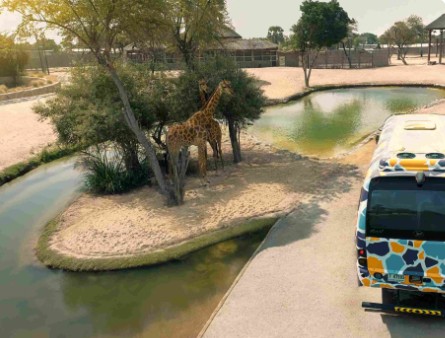 a giraffe in Dubai safari park