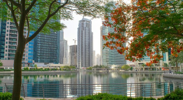 JLT landscape